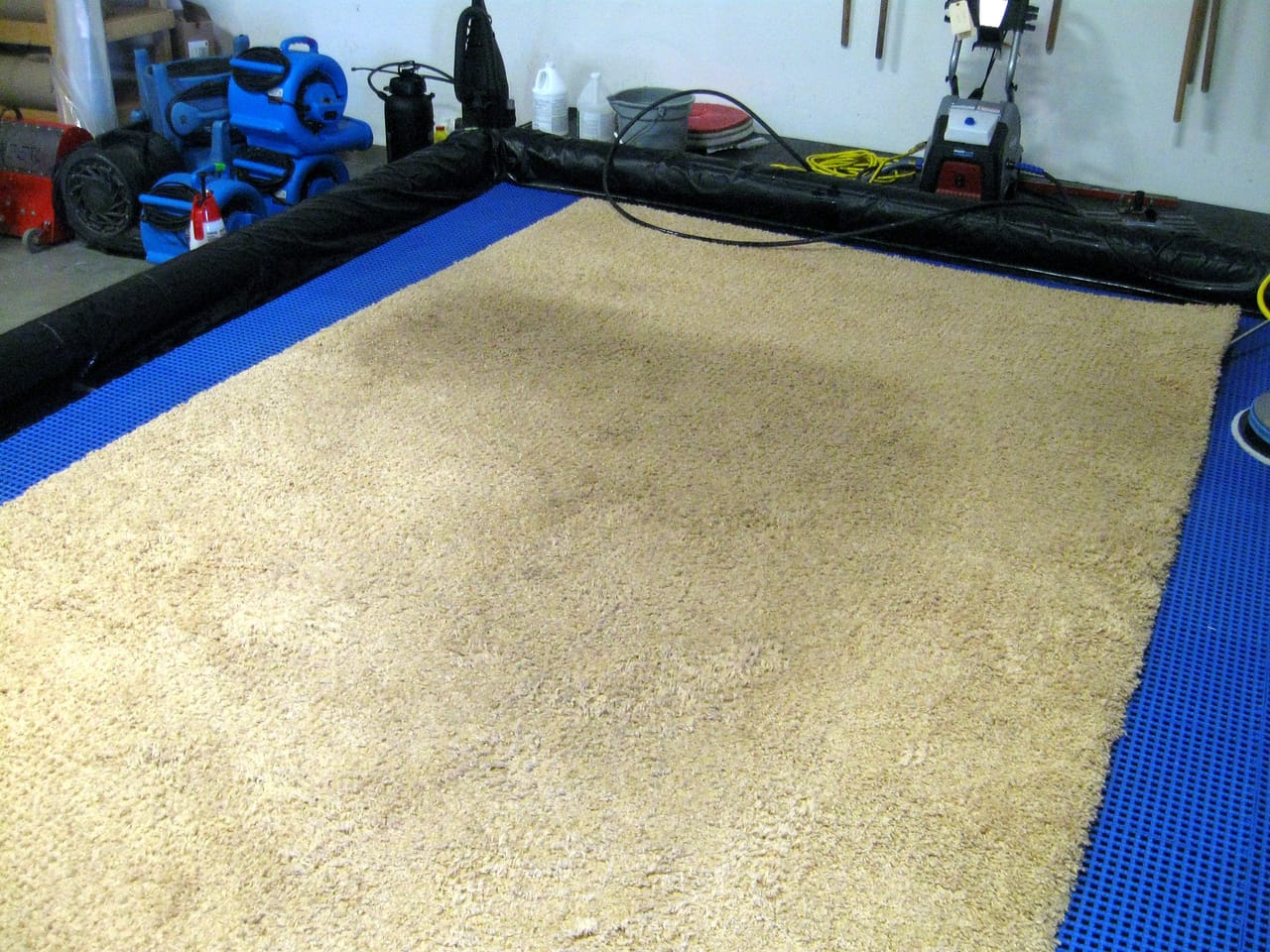 Area rug in the wash before