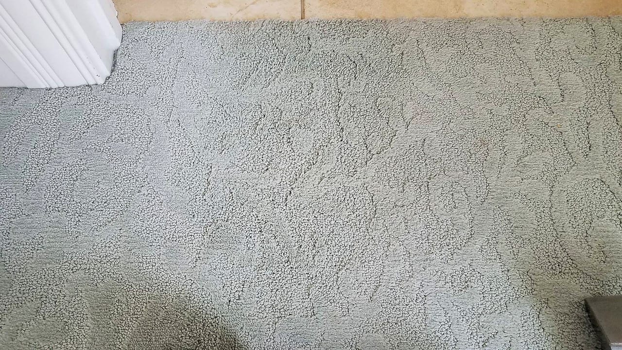 Bleach on sculpted carpet after