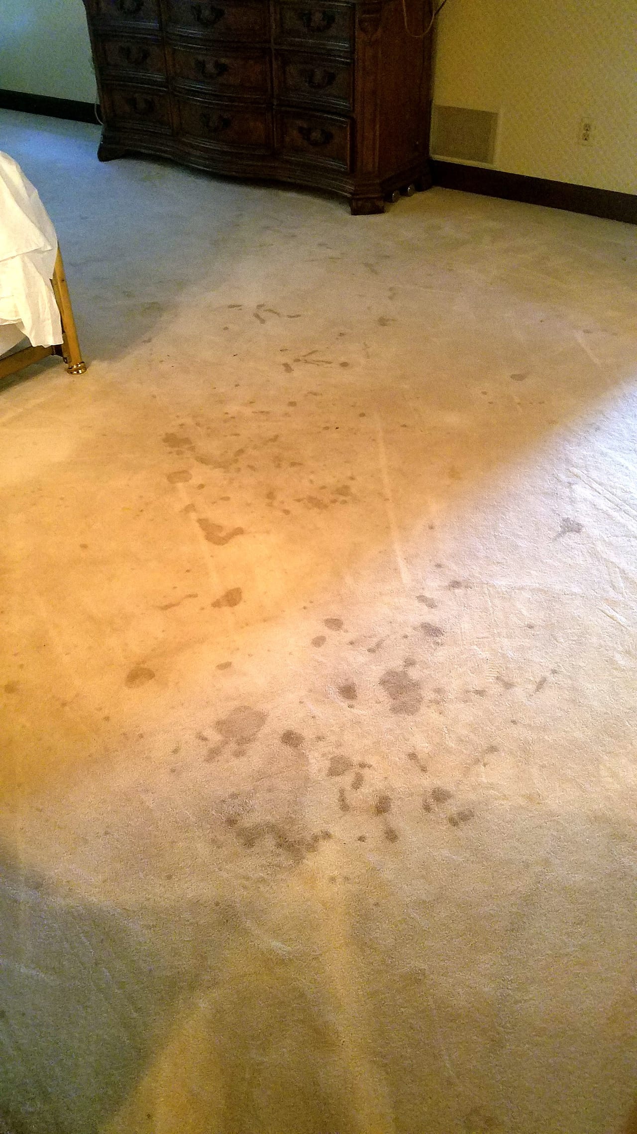 Oil before