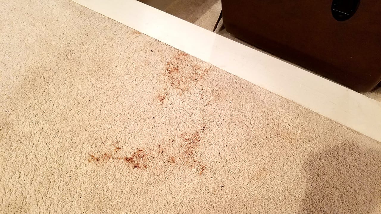 Takeout spill before