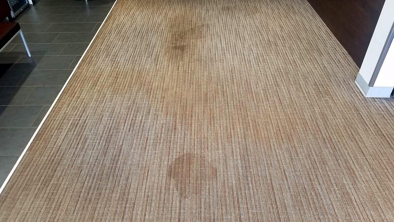 Commercial carpet before