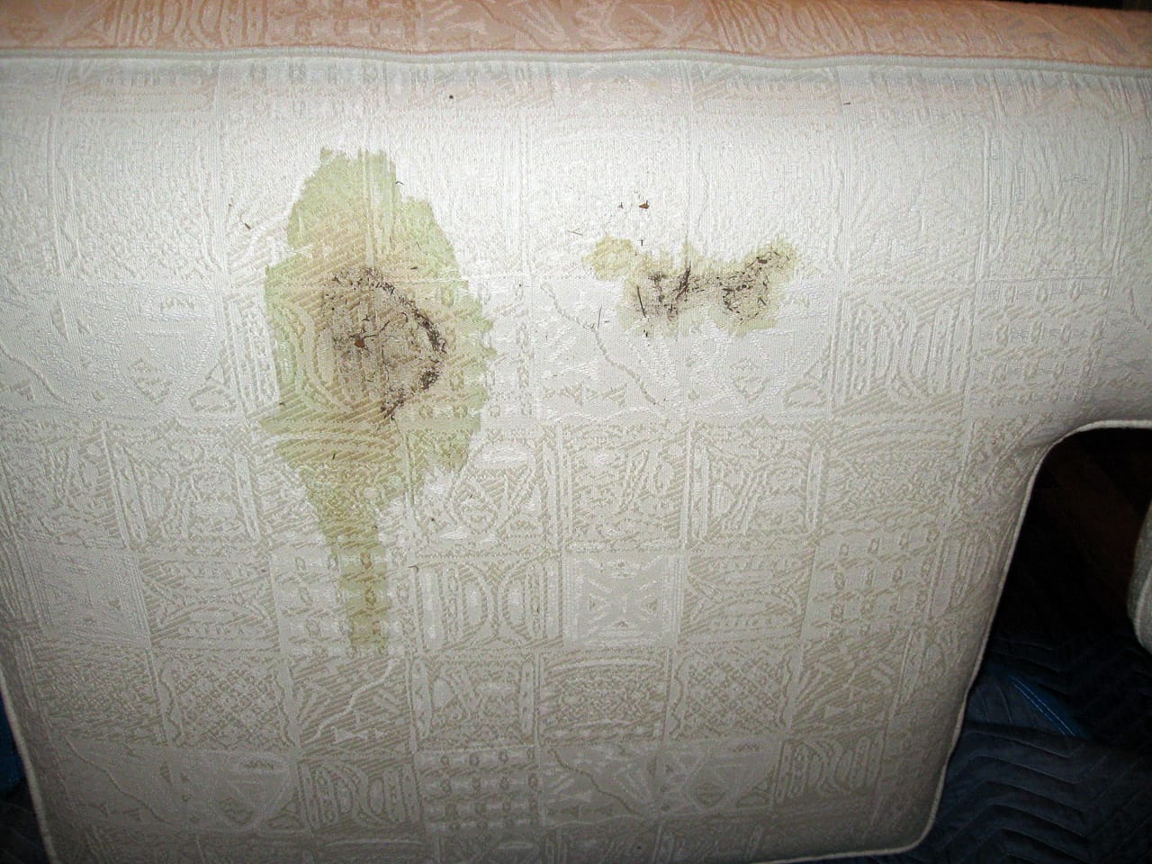 Cushion stain before