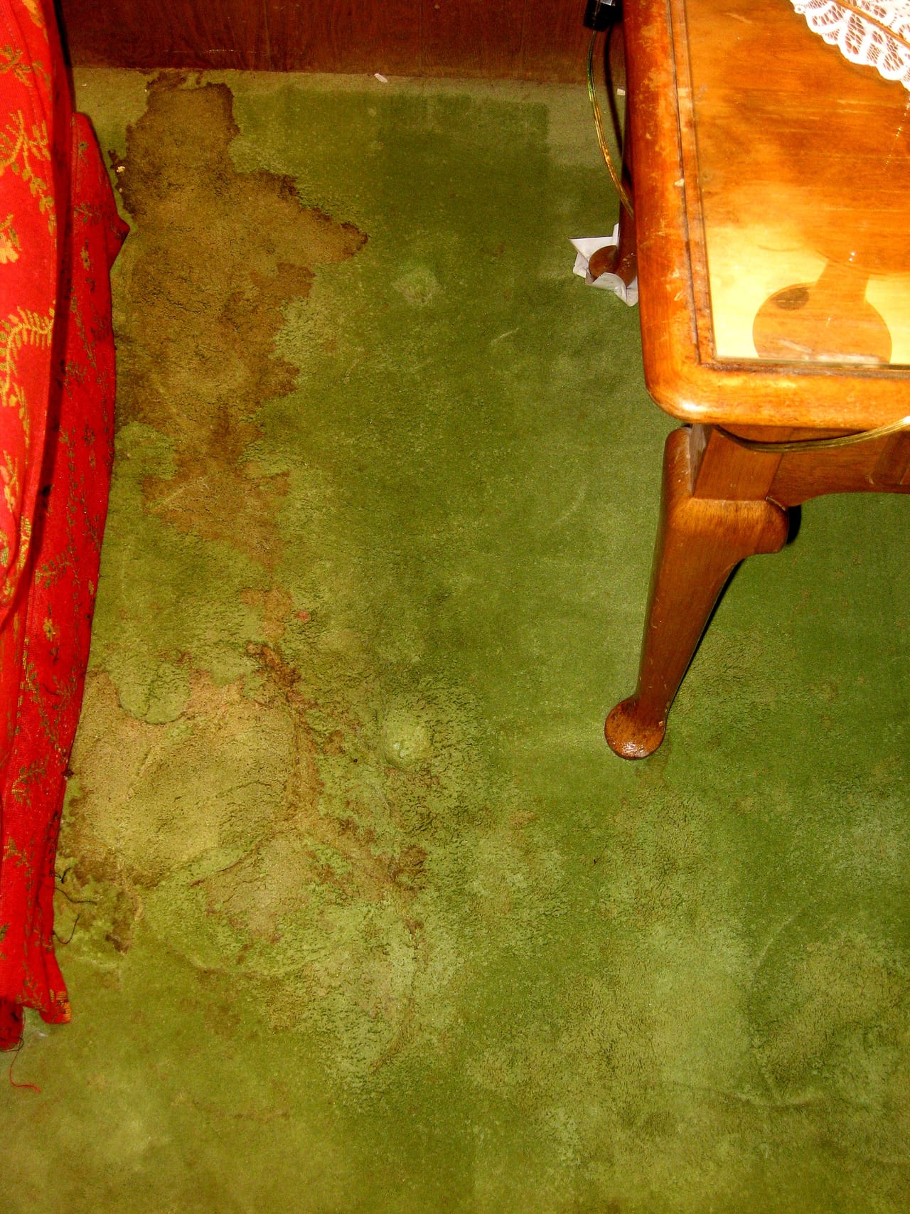 Green carpet before