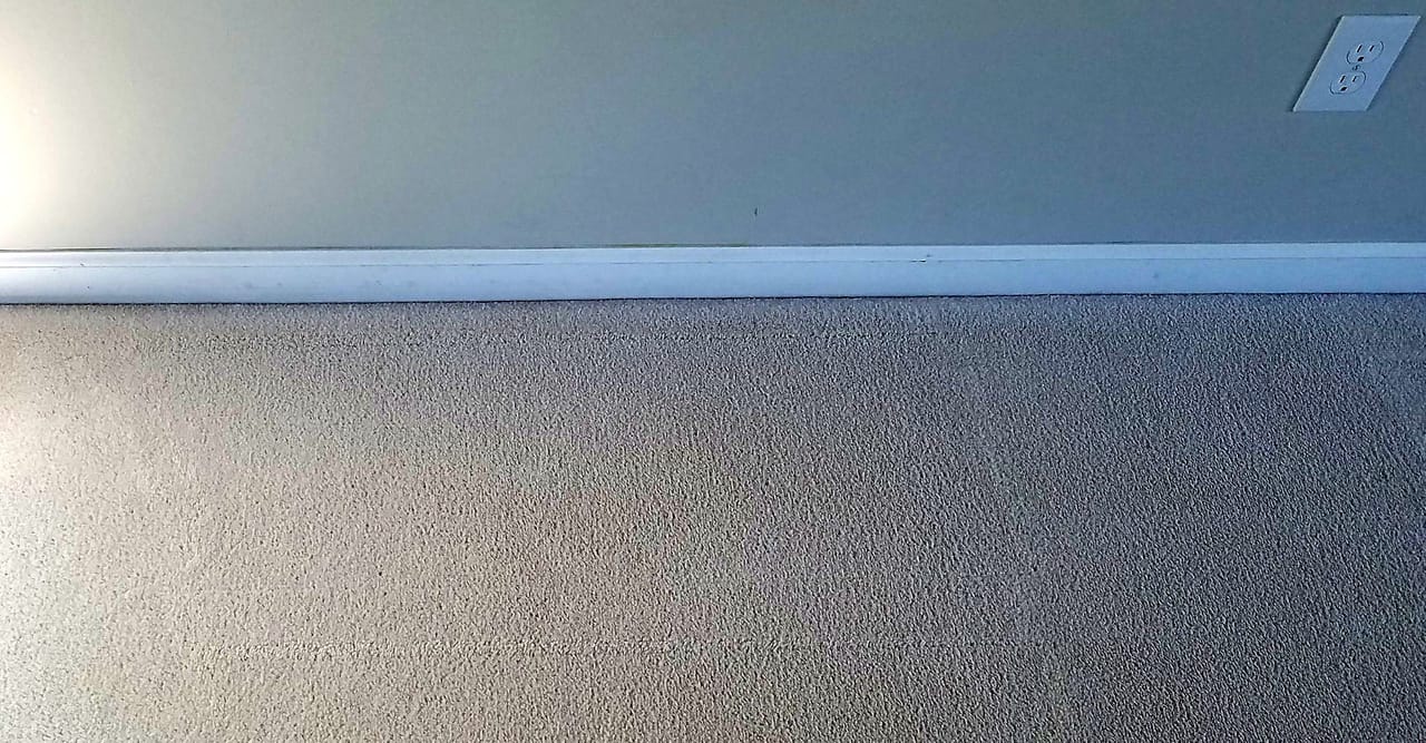 Plant stain after