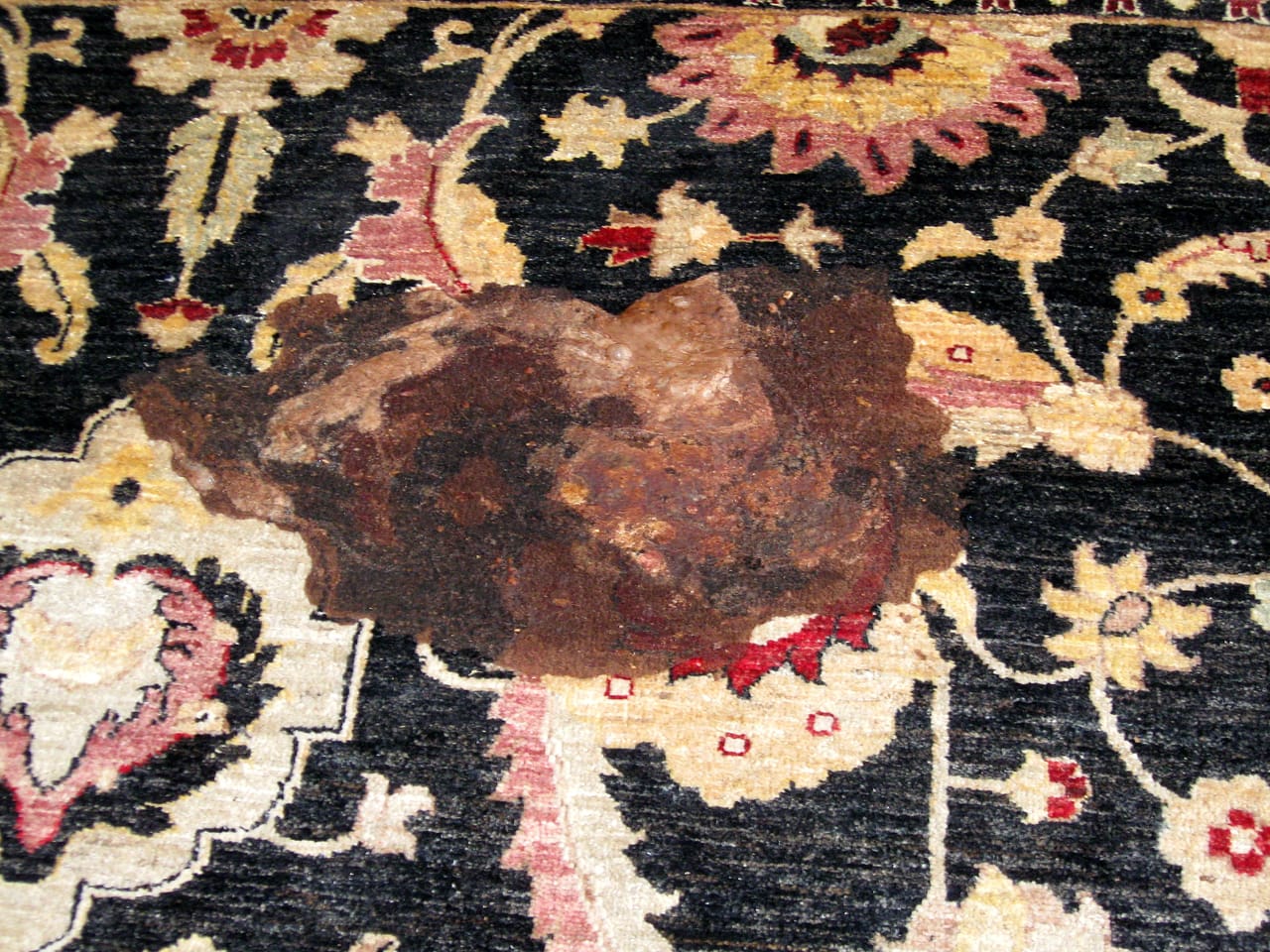 Rug stain before