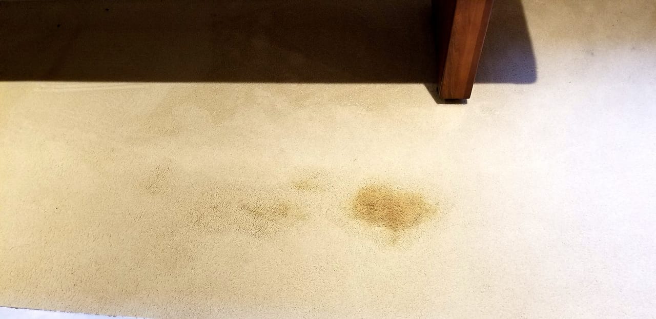 Spot before