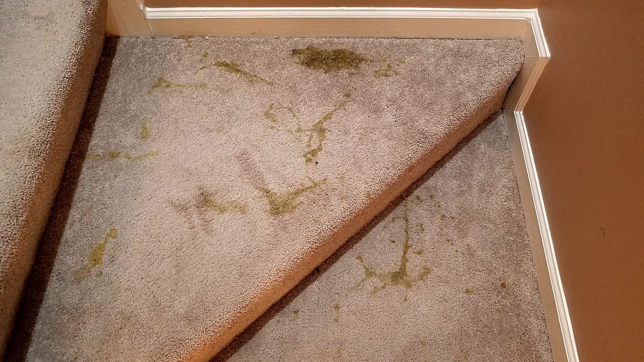 Stairs before